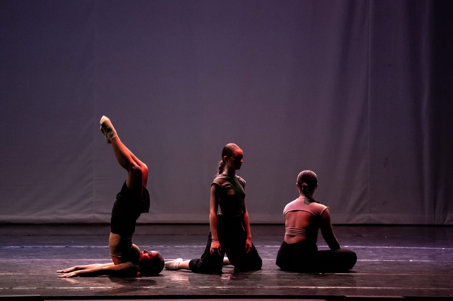 Rivivi Crescendo a Passi di Danza